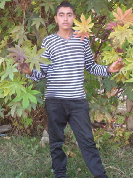 samir 